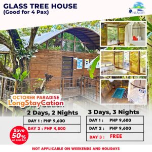 Longstaycation-glass-tree-house