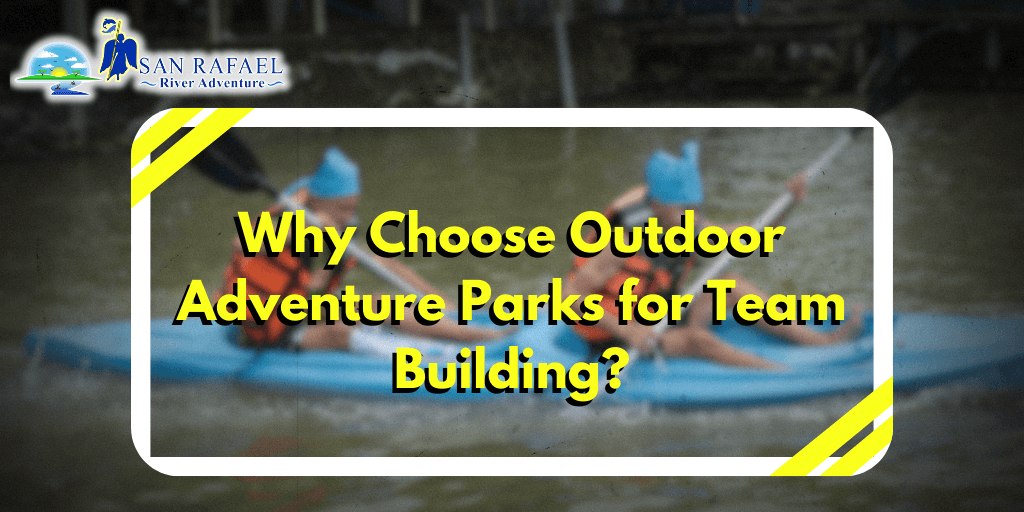 Why Choose Outdoor Adventure Parks for Team Building